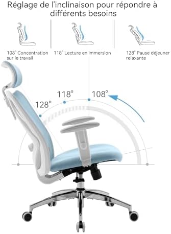 SIHOO M18 Ergonomic Office Chair, Computer Desk Chair with Adjustable Headrest and Lumbar Support, High Back Executive Swivel Chair for Home Office (Light Blue)
