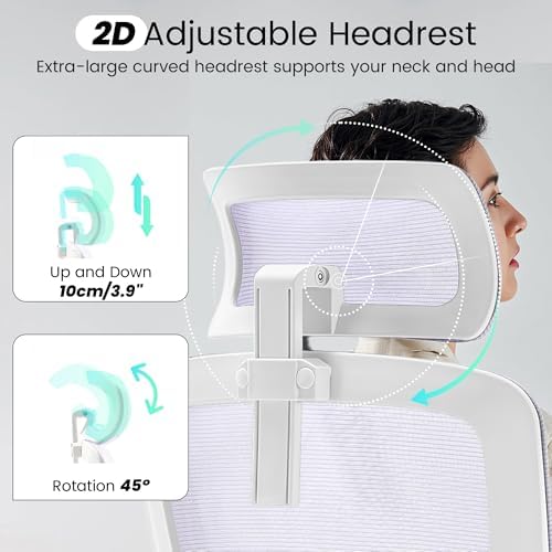 Fizzin Office Chair Mesh Computer Chairs with Adjustable Lumbar Support