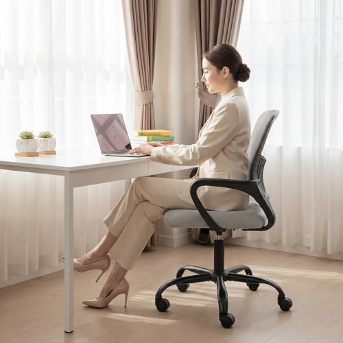 DUMOS Home Office Chair, Ergonomic Lumbar Support Desk Chair
