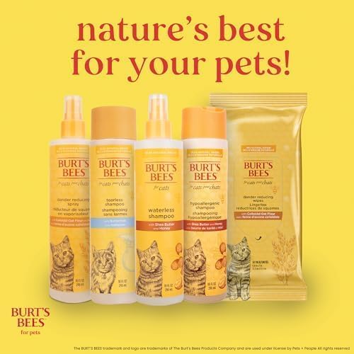 Burts Bees for Pets Kitten Grooming Wipes with Buttermilk, 50 Count, 6-Pack | Waterless bath wipes clean face, paws, tail, and coat, gentle alternative to bathing for indoor cats