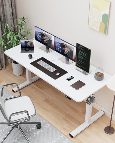55" Large Electric Standing Desk Adjustable Height for Home Office