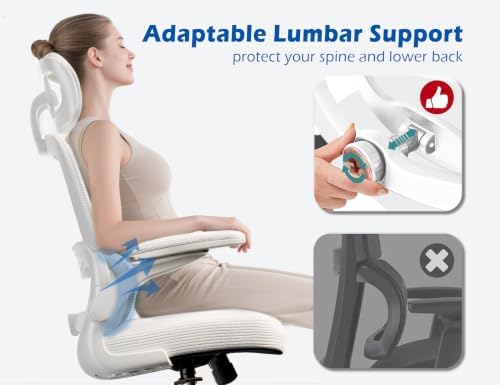 TRALT Ergonomic Office Chair Desk Chair with Adjustable Lumbar Support