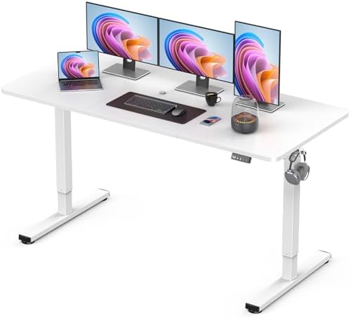 55" Large Electric Standing Desk Adjustable Height for Home Office