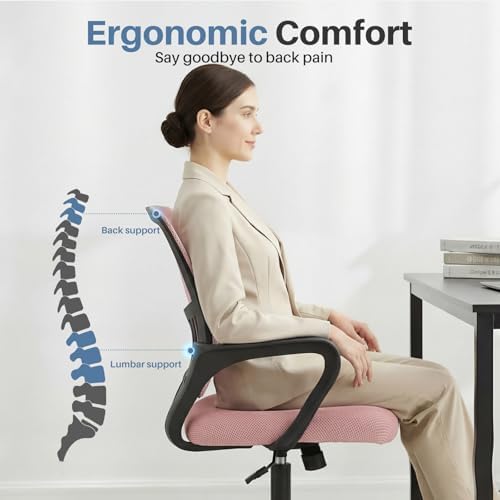 DUMOS Home Office Chair, Ergonomic Lumbar Support Desk Chair