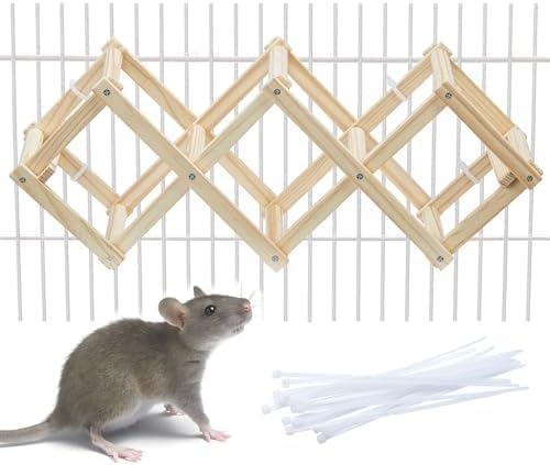 Kiln-Dried Wood Rat Climb Toy, Hanging Cage Ladder Activity (S, 1pc) | Natural Rat Cage Bridge, Multiple Openings & Directional Ramps Offer Challenges to Satisfy Rats' Instincts for Explore & Play