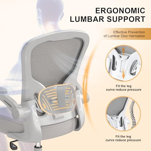 Synorla Office Chair|Ergonomic Desk Chairs 330LBS Capacity