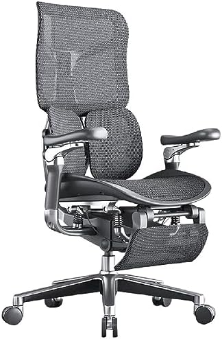 VIDI Ergonomic Chair Net, Executive Home Office, with Waist Support, Backrest