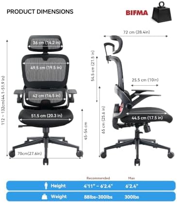 SIHOO B100 SE Ergonomic Office Chair, Desk Chair with Lumbar Support