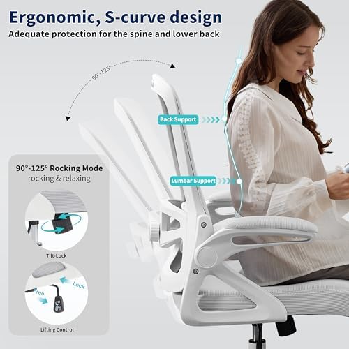 Ergonomic Office Chair Desk Chair with Adjustable Lumbar Support