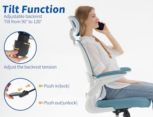 TRALT Ergonomic Office Chair Desk Chair with Adjustable Lumbar Support