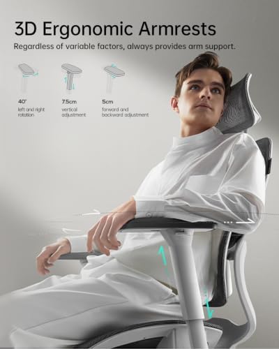 Hbada E2 Ergonomic Office Chair, Big and Tall Mesh Office Chair with 6-Way Dynamic Lumbar Support, 3D Adjustable Armrests, 3D Adjustable Headrest, Grey (No Footrest)