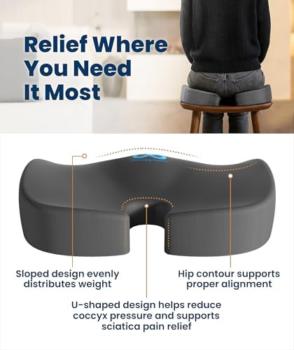 Everlasting Comfort Doctor Recommended Memory Foam Seat Cushion for Office Chairs & Car - Ergonomic Office Desk Accessories - Cushions for Tailbone Pain Relief, Sciatica (Gray, Large)