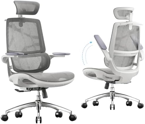 SIHOO M59AS Ergonomic Office Chair, Dual Backrest, Adaptive Lumbar Support