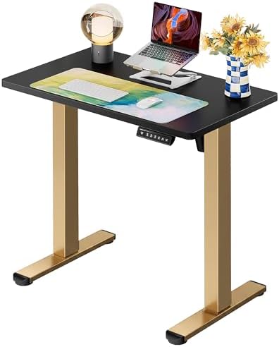 ErGear Height Adjustable Electric Standing Desk, 32 x 19 Inches Sit Stand up Desk, Memory Computer Home Office Desk, Black+Gold