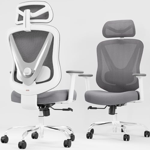 HOLLUDLE Ergonomic Mesh Office Chair - 3D Adjustable Lumbar Support & 3D Armrests, V-Shaped Back, Adjustable Desk Chair for Office & Home, White
