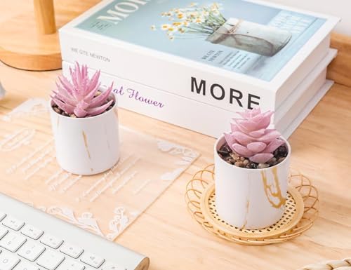 Der Rose 2 Pack Fake Plants Pink Room Decor for Office Desk Accessories