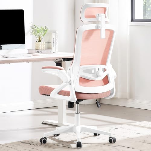 Fizzin Office Chair Mesh Computer Chairs with Adjustable Lumbar Support