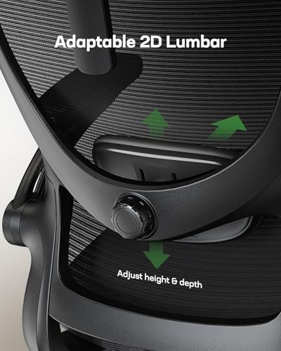 Marsail Ergonomic Office Chair: Office Desk Chair with High Back Mesh and Adjustable Lumbar Support Rolling Work Swivel Task Chairs with Wheel 3D Armrests and Headrest