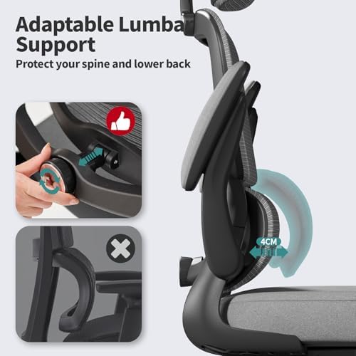 TRALT Office Chair Ergonomic Desk Chair - Gaming Chair with Lumbar Support (1,Dark Grey)