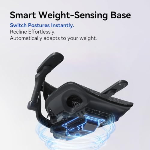 SIHOO B300 Pro Ergonomic Office Chair, Adaptive Lumbar Support, Black