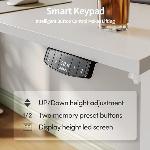 Agilestic 48 * 24 Inch Height Adjustable Electric Standing Desk, White