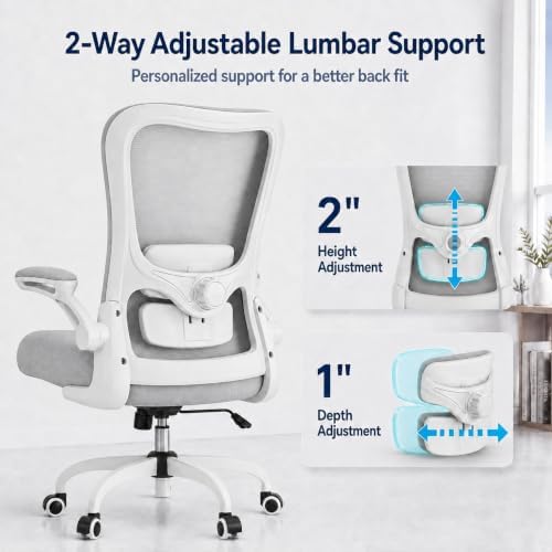 Ergonomic Office Chair for Long Hours, Padded Lumbar Support for Lower Back Relief, 330 lb Capacity, Comfortable Computer Desk Chair for Home Office, Computer & Study (Modern, Light Gray)