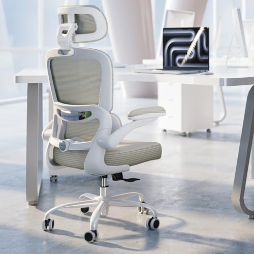 TRALT Ergonomic Office Chair Desk Chair with Adjustable Lumbar Support