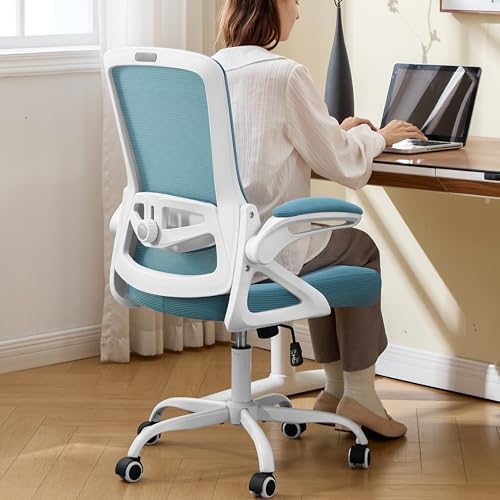Ergonomic Office Chair Desk Chair with Adjustable Lumbar Support