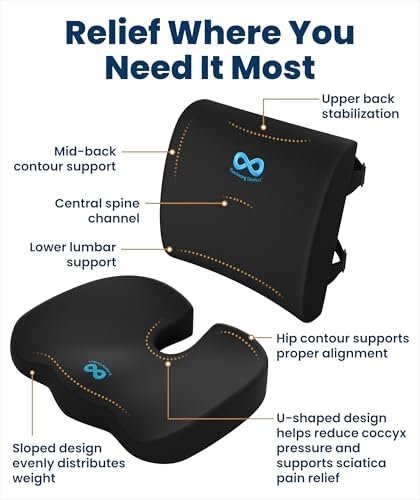 Everlasting Comfort Doctor Recommended Memory Foam Seat Cushion for Office Chairs & Car - Ergonomic Office Desk Accessories - Cushions for Tailbone Pain Relief, Sciatica (Black Airflow Lumbar, Large)