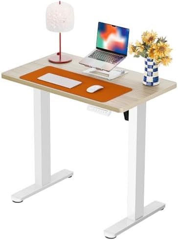 ErGear Height Adjustable Electric Standing Desk, 32 x 19 Inches Sit Stand up Desk, Memory Computer Home Office Desk, Natural