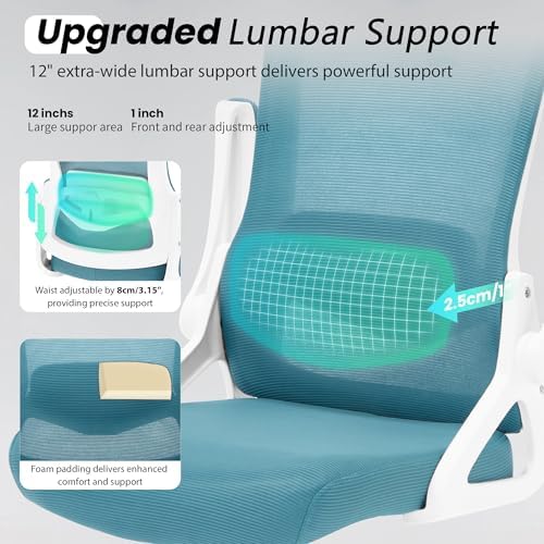 Fizzin Office Chair Mesh Computer Chairs with Adjustable Lumbar Support