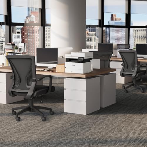 Furmax Office Chair Ergonomic Computer Desk Mesh Chair Mid Back Swivel Lumbar Support with Armrest (1, Black)