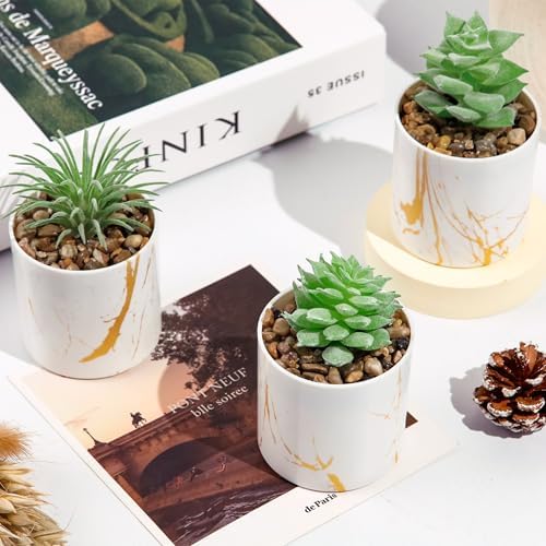 Der Rose 4 Pack Mini Fake Succulents in Pots for Office Desk Accessories