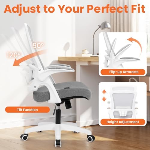 NEO CHAIR Office Desk Chair High Back Mesh Chair Adjustable Lumbar, Grey