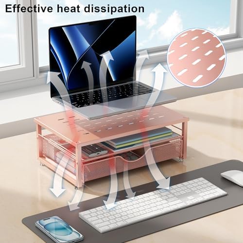 gianotter Computer Monitor Stand Riser with Drawer