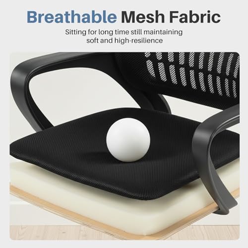 DUMOS Home Office Chair, Computer Desk Chair, Lumbar Support