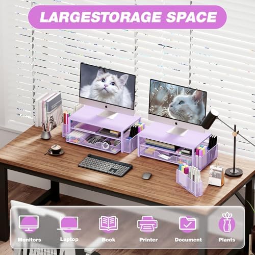 OPNICE Desk Organizer and Accessories, 2-Tier Computer Monitor Stand Riser with Drawer and 2 Pen Holders, Laptop Stand, Office Desk Accessories for Office Supplies, Purple