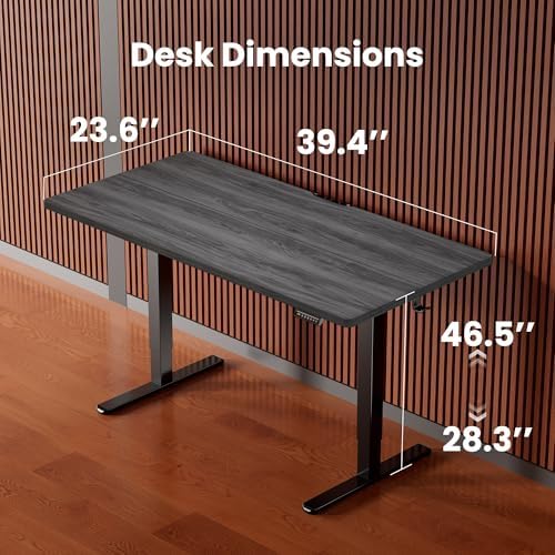 ErGear Height Adjustable Electric Standing Desk, 40 x 24 Inches Sit Stand up Desk, Memory Computer Home Office Desk, Grey