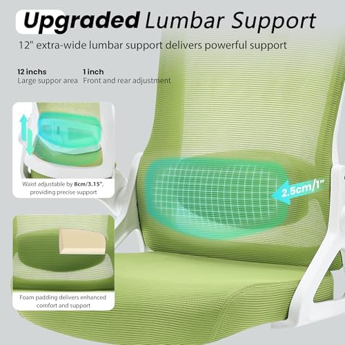 Fizzin Office Chair Mesh Computer Chairs with Adjustable Lumbar Support