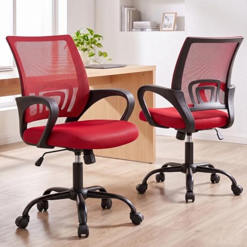 DUMOS Ergonomic Office Chair, Mid-Back Executive Desk Chair 2 Pack