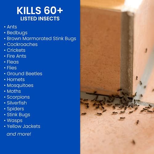 BioAdvanced Complete Insect Killer with Germ Killer, Ready-to-Use, 24 oz (Pack of 2)