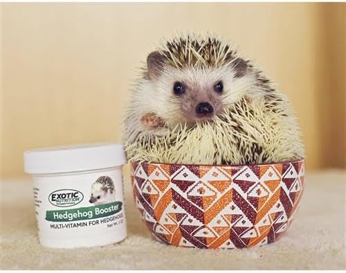 Exotic Nutrition Hedgehog Home & Starter Package - Includes Durable Cage, Exercise Wheel, Healthy Food, Natural Treat, Multi-Vitamin & Hideout