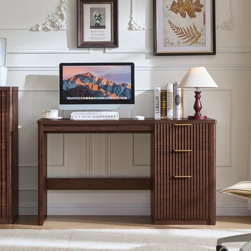 LEYAOYAO Office Desk 48" with 3 Drawers Storage File Cabinet