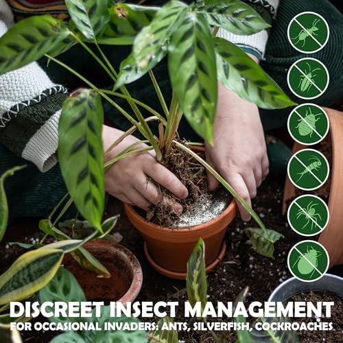 Diatomaceous Earth Food Grade Powder with Peppermint - Crawling Insect Killer for Bed Bugs, Roaches, Ants, Fleas - Indoor & Outdoor Pest Control | Family & Pet Safe | 1 lb