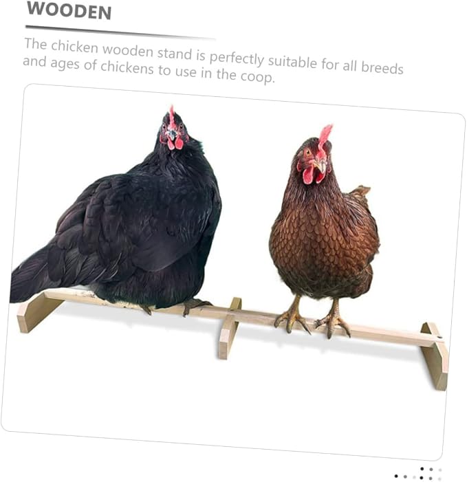 Wooden Bird Stand Perch for Parrot, Single Rack for Leg Exercise | Natural Grain Finish, Colorfast Surface, 1pcs Build, Compact Sizing, Easy Placement in Cages, Toy Item