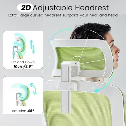 Fizzin Office Chair Mesh Computer Chairs with Adjustable Lumbar Support