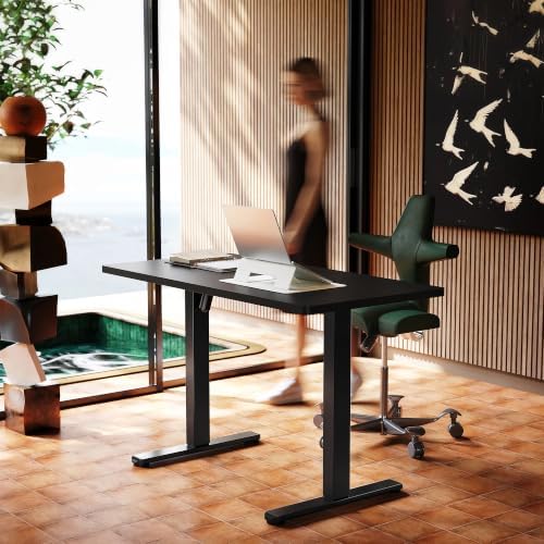 HUANUO 48x24 Inch Electric Standing Desk, Height Adjustable, Black
