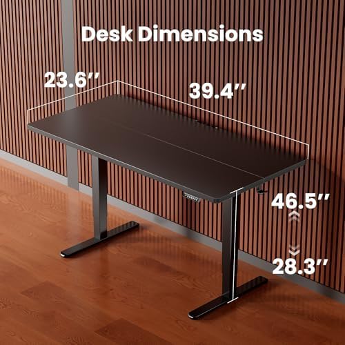 ErGear Height Adjustable Electric Standing Desk, 40 x 24 Inches Sit Stand up Desk, Memory Computer Home Office Desk, Black