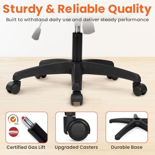 NEO CHAIR Office Desk Chair High Back Mesh Chair Adjustable Lumbar, Black