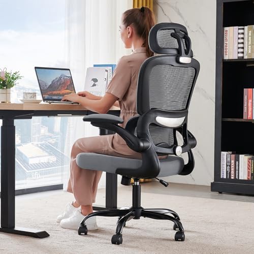 TRALT Office Chair Ergonomic Desk Chair - Gaming Chair with Lumbar Support (1,Dark Grey)